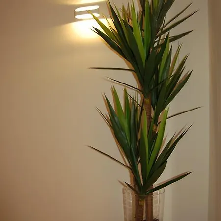 Holiday home Golf 6 Obidos