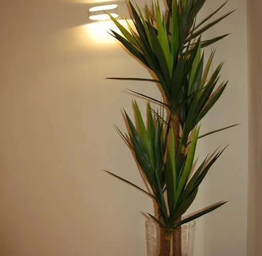 בית נופש Golf 6 אובידוס